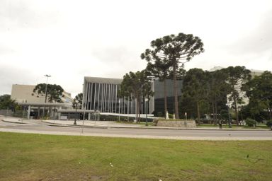 Assembleia vota redação final do projeto que cobra de agressores custo do tratamento de animais agredidos