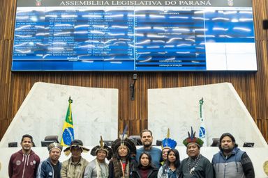 Projeto do deputado Goura (PDT) que propõe cotas para indígenas em Concursos Públicos será avaliado na CCJ