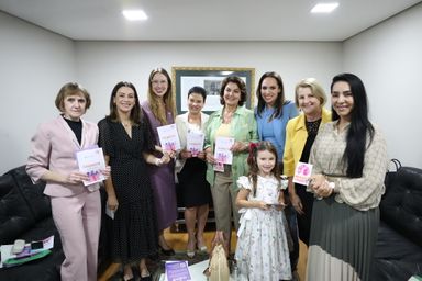 Bancada Feminina recebe Defensoria Pública para apresentação do Projeto AMPARA