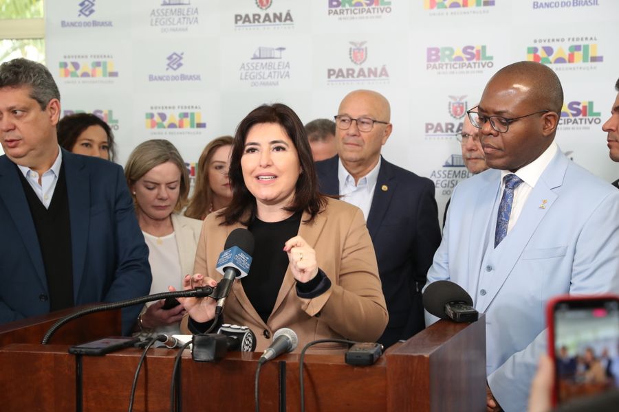 coletiva plenária PPA