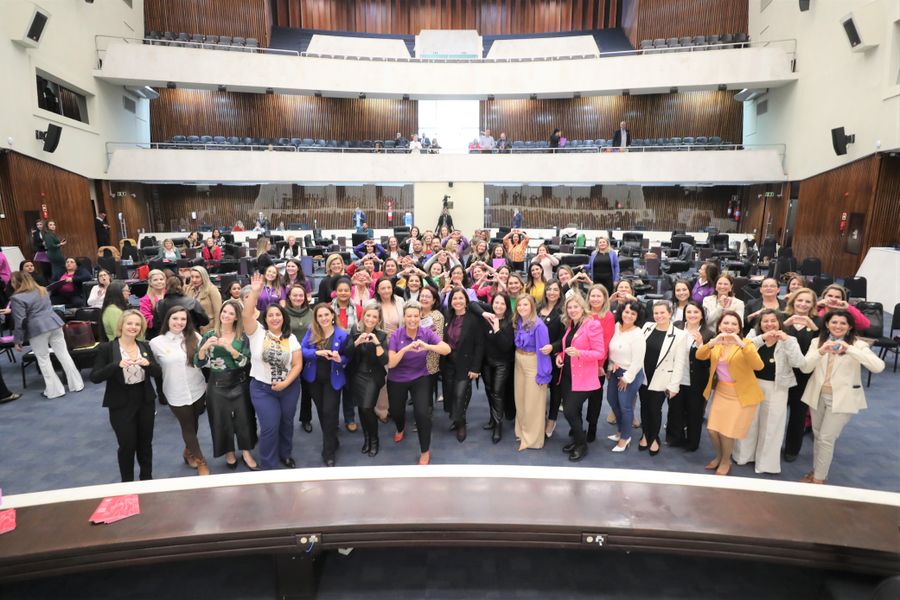 4º encontro procuradorias mulher