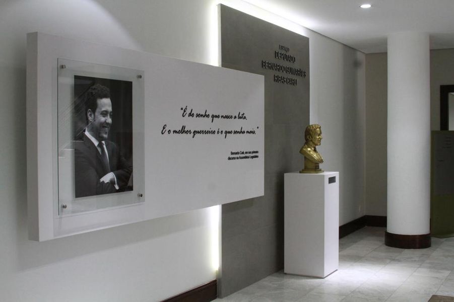 bernardo capa