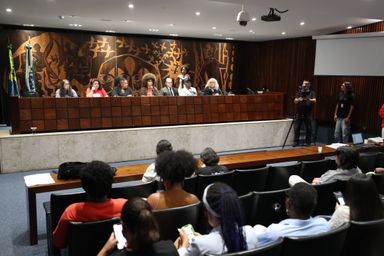 Frente Parlamentar da População em Situação de Rua convocará audiência pública para debater internações involuntárias