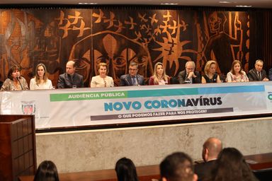 Políticas e ações de prevenção ao Novo Coronavírus são discutidas em audiência pública