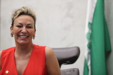 Lei de Mobilização a Favor da Saúde Mental Materna, proposta pela deputada Cloara Pinheiro (PSD), é sancionada
