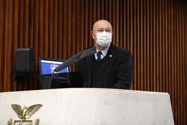 Parlamentares fazem defesa enfática da democracia durante sessão plenária