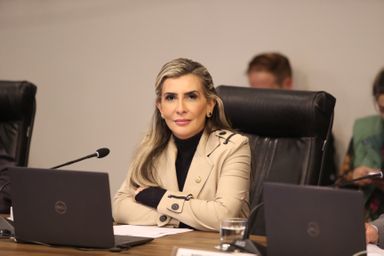 Assembleia instala Frente Parlamentar para fomentar relações comerciais entre o Paraná e o Paraguai