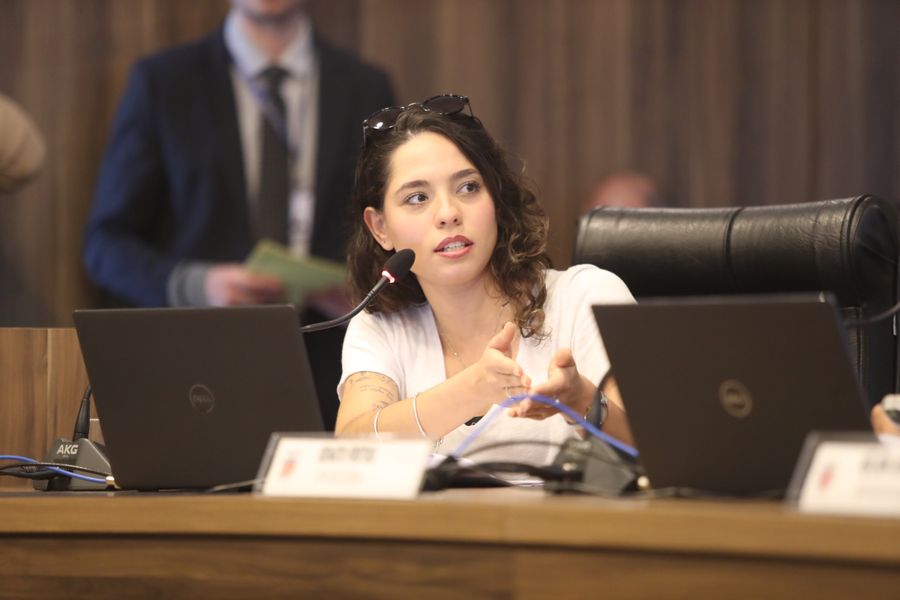 ana julia frente saude mental