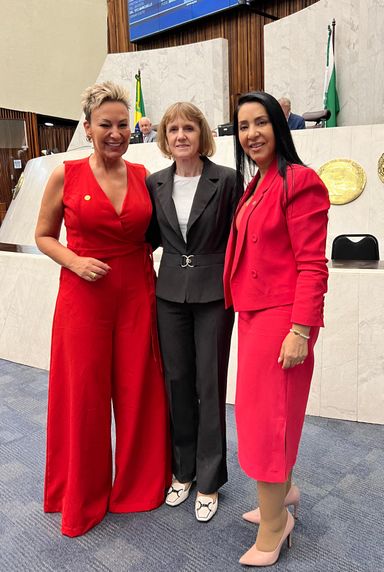 Assembleia Legislativa debate os reflexos do feminicídio em Audiência Pública