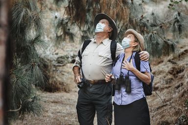 Projeto de lei visa promover o turismo de observação de aves no estado