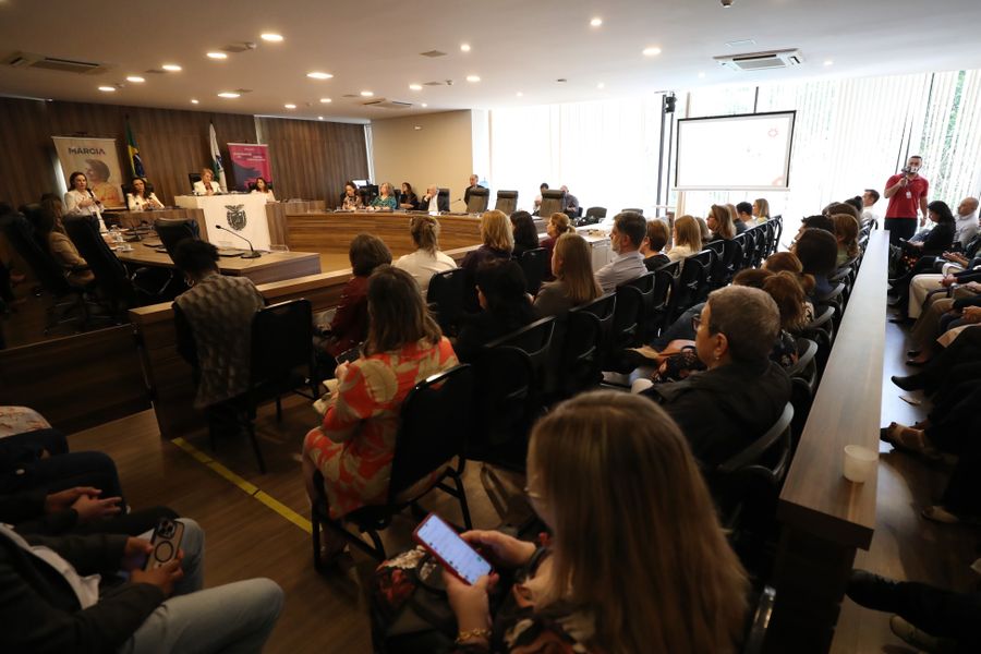 aud pub violencia crianças