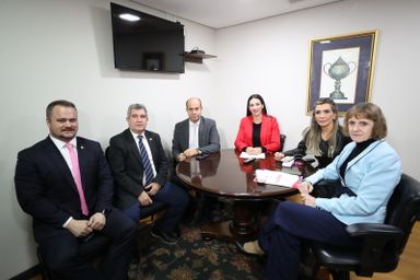 Comissão Especial é formada para finalizar o Código do Autismo do Paraná