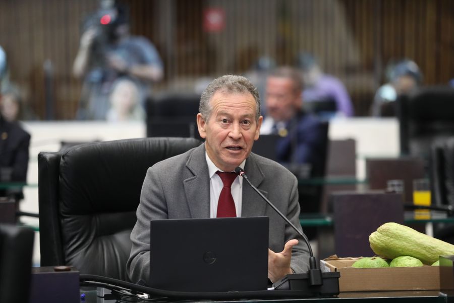 Professor Lemos Escolas