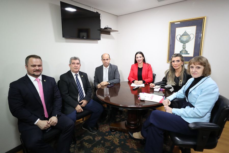 Reunião CRIA