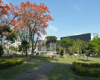 Pauta da sessão plenária de segunda-feira (13) relaciona seis projetos de lei