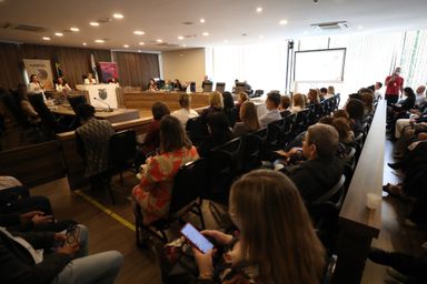 Audiência reforça necessidade de capacitação de profissionais na identificação da violência contra crianças e adolescentes