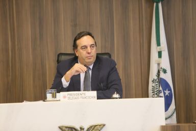 Em homenagem à Lei Maria da Penha, CCJ analisa projetos voltados à segurança da mulher