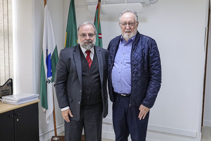tercilio geologia