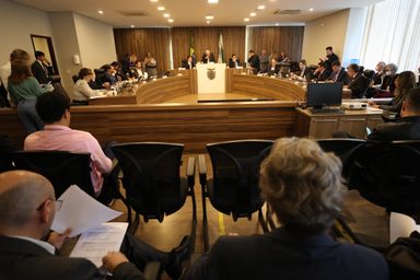 CCJ inicia debate de projeto que permite condução de animais no transporte coletivo