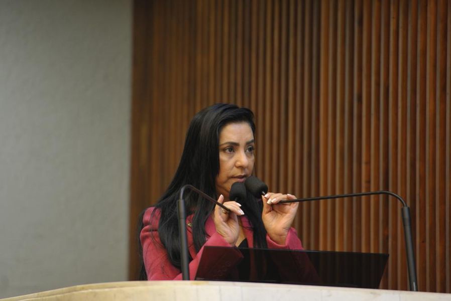 Deputada Cantora Mara Lima (PSDB).