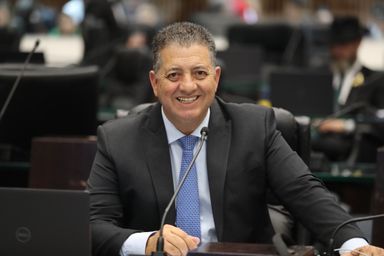 Comissão de Defesa dos Direitos da Pessoa Idosa apresenta relatório de atividades do 2º semestre de 2024