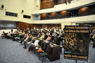Seminário reúne especialistas em direitos e defesa dos animais na Assembleia