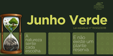 Junho Verde: mês de conscientização e políticas públicas para o meio ambiente