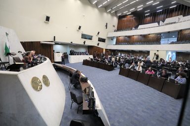 Incentivo à Educação Não Violenta no Paraná segue para sanção