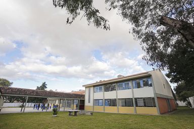 Audiência pública debate projeto que torna educação atividade essencial