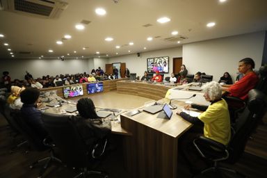 Assembleia celebra os 30 anos do Movimento Negro Unificado no Paraná