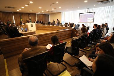 Projeto que permite condução de animais no transporte coletivo é aprovado na CCJ