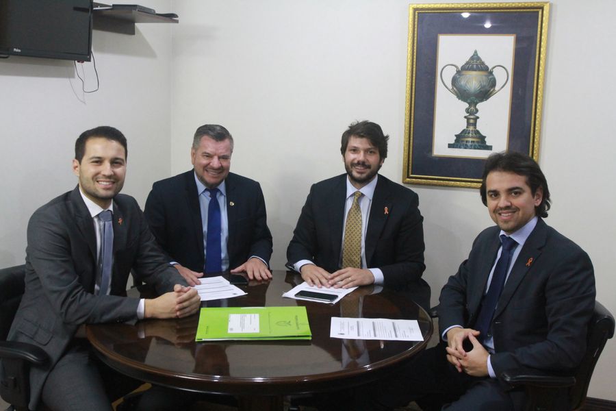 revisão