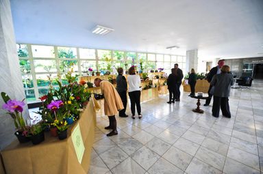 Espaço Cultural da Assembleia recebe exposição de orquídeas