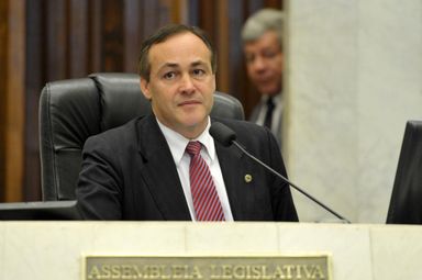 Stephanes Junior propõe criação do Conselho Estadual de Proteção Animal