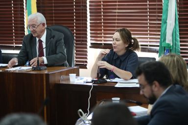 Para secretária de Cultura, área vive “momento histórico”