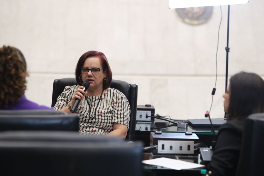 violenciacontamulherassembleiaentrevista