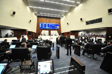 Segue para sanção projeto que disciplina a criação e o manejo sustentável de pássaros nativos no Paraná