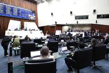 Assembleia aprova por unanimidade a criação de Câmara especializada em julgar casos de violência doméstica