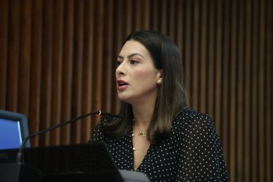 Deputada Mabel Canto (PSDB) cobra DER sobre acidentes no trevo do Mato Branco