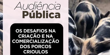 Assembleia promove debate sobre preservação e mercado dos porcos crioulos no Estado