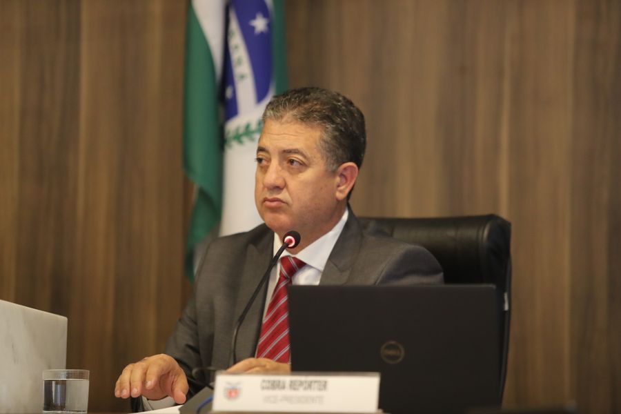 cobra segurados