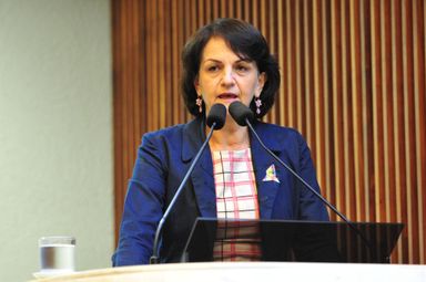 Ativistas da causa do autismo participam de sessão plenária da Alep e pedem apoio aos deputados