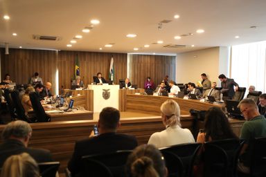 CCJ inicia debate sobre auxílio a pessoas com deficiência em supermercados