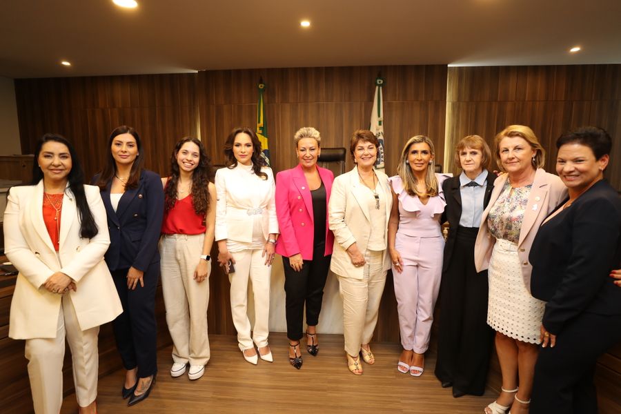 bancada feminina primeira lei