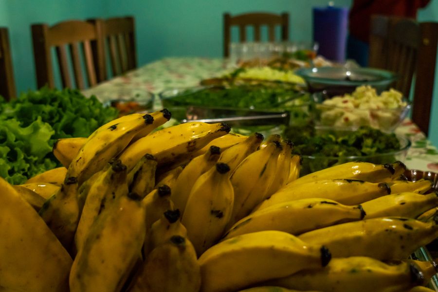 transição agroecologia