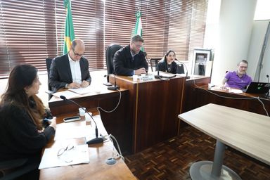 Frente Parlamentar da Psicologia debate projetos voltados à saúde mental, proteção social e enfrentamento à violência