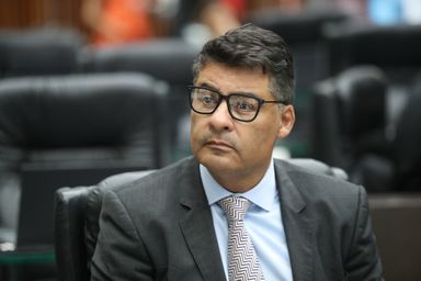 Projeto de lei prevê a criação do Dia de Combate aos Maus Tratos contra Animais no Paraná