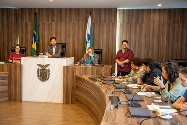 Deputado Goura (PDT) sugere reunião mensal para tratar da gestão das leis de incentivo à cultura no Paraná