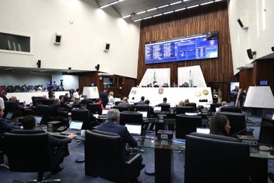 Parlamentares reforçam enfrentamento ao cyberbullying no Paraná