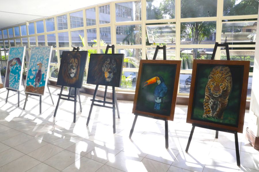 exposição impressões da alma